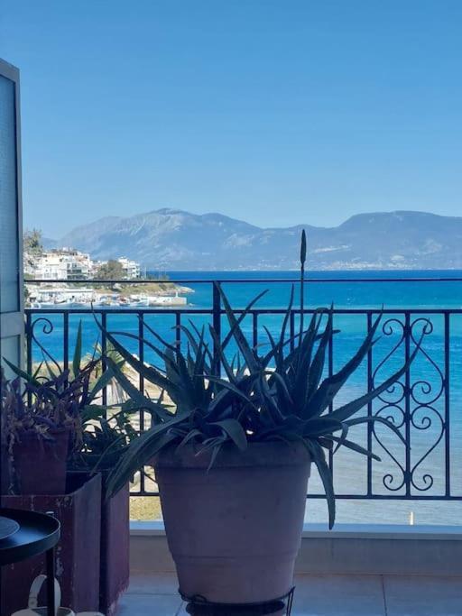 Bright Central Apartment With Splendid Sea View! Халкис Екстериор снимка